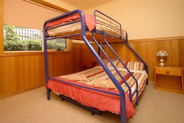 Apollo Bay Backpackers Lodge Habitación foto